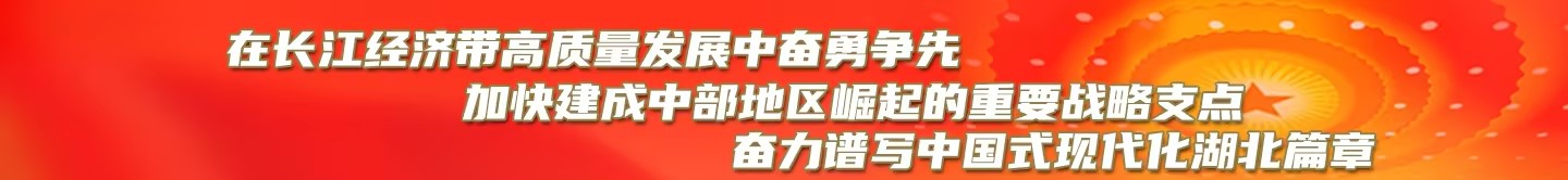 在长江经济带高质量发展中奋勇争先加快建成中部地区崛起的重要战略支点奋力谱写中国式现代化湖北篇章